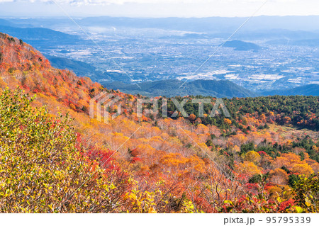 《福島県》天狗の庭・磐梯吾妻スカイライン《紅葉最盛期》 95795339