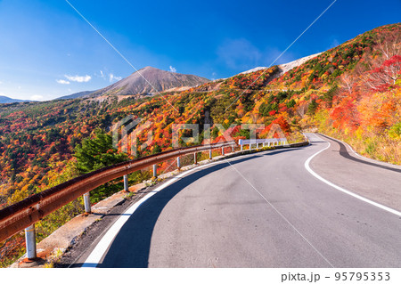 《福島県》天狗の庭・磐梯吾妻スカイライン《紅葉最盛期》 95795353