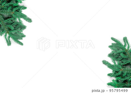 spruce branches isolated on white background arranged at the corners of the frame. template for greeting card for christmas or new year. christmas theme design elements spruce branches isolated on white background arranged at the corners of the frame. template for greeting card for christmas or new year. christmas theme design elements 95795499