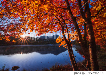 女神湖の紅葉 95796463