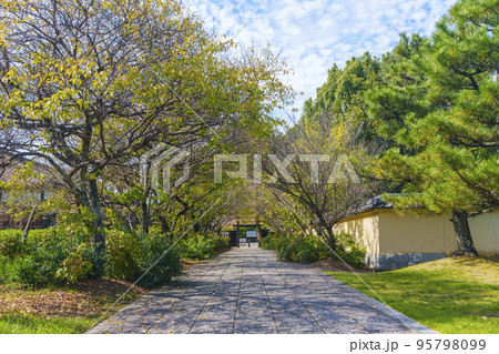 奈良・冠木門への道（薬師寺） 95798099