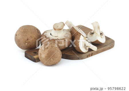 Baby portobellos mushrooms isolated on white 95798622