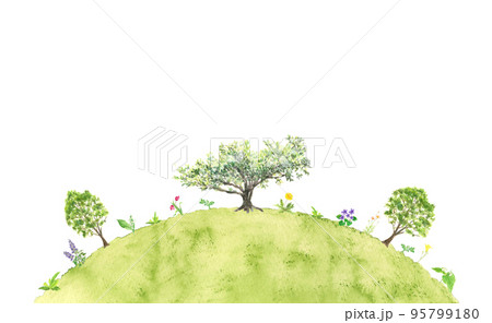 水彩で描いた丘の上の大木と花の風景 95799180