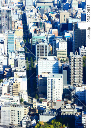 多くの高層ビルが立ち並ぶ名古屋市中心部の風景 95800655