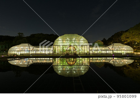 ナイトZOO＆GARDEN 95801099