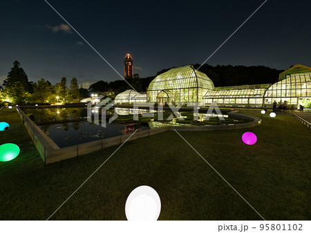 ナイトZOO＆GARDEN 95801102