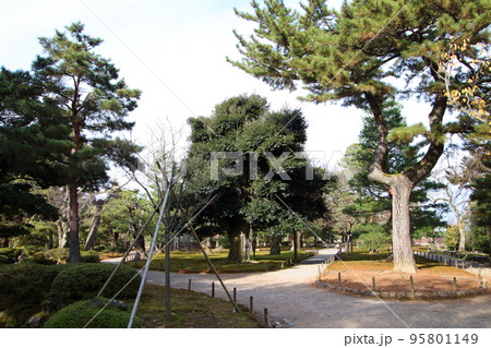 紅葉彩る兼六園にて(石川県金沢市) 紅葉彩る兼六園にて(石川県金沢市) 95801149