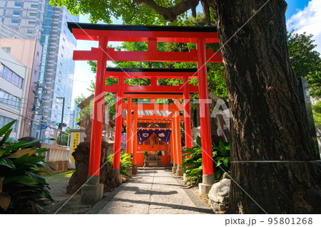 東京都墨田区 錦糸公園、千種稲荷神社 95801268