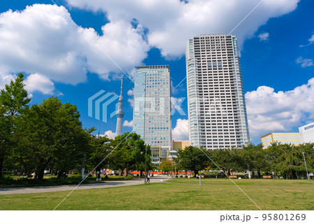 東京都墨田区 錦糸公園 95801269