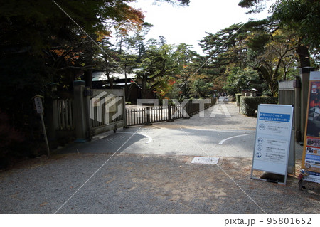 紅葉彩る兼六園：桂坂口（石川県金沢市） 95801652