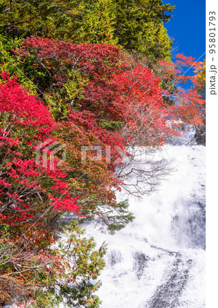 《栃木県》紅葉の湯滝・秋の奥日光 95801793