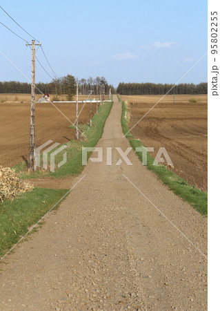 北海道　十勝地方　牧場のある風景（春） 95802255