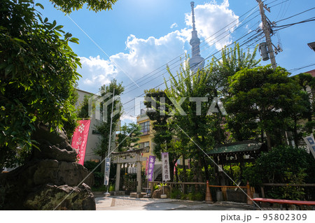東京都墨田区 高木神社 東京スカイツリーが見える境内 95802309