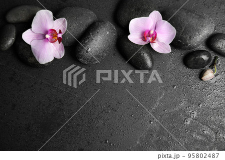 Stones with orchid flowers and space for text on wet black background, flat lay. Zen lifestyle Stones with orchid flowers and space for text on wet black background, flat lay. Zen lifestyle 95802487