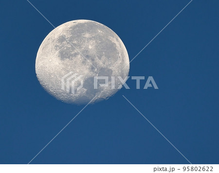 月 ルナ お月様 95802622