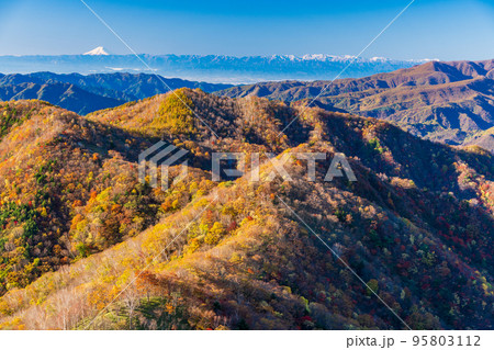 （栃木県）奥日光半月山駐車場から望む、紅葉した山並みの向こうに富士山 95803112