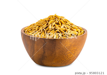 Side view closeup pile of dry freshly harvested paddy in wooden bowl isolated on white background. Side view closeup pile of dry freshly harvested paddy in wooden bowl isolated on white background. 95803121