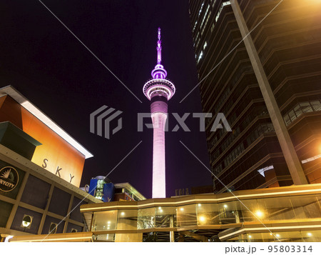 オークランド・スカイタワー 夜景 / Auckland, New Zealand 95803314
