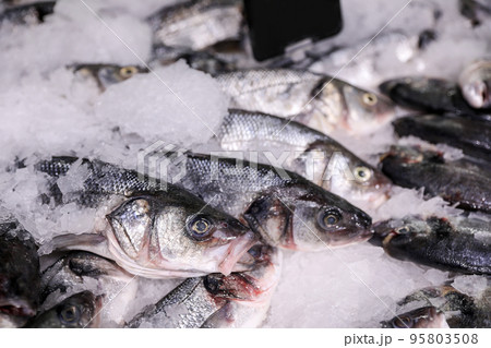 Fresh raw fish with ice in supermarket, closeup 95803508