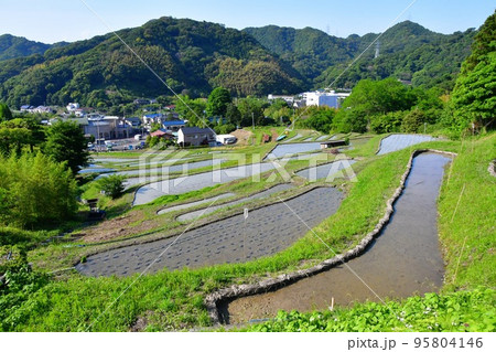 神奈川県　上山口の棚田 95804146