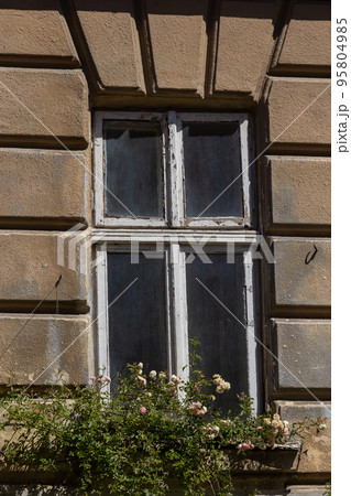 Facade of antique historical building. Windows with flowers. Lviv, Ukraine. European travel photo 95804985