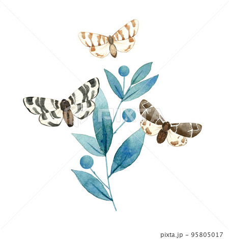 Composition of illustrated blue plant and brown butterflies. Hand drawn watercolor moths on branch with leaves. Arrabgement for packaging, label, stationery and greeting card. Flying insects. 95805017