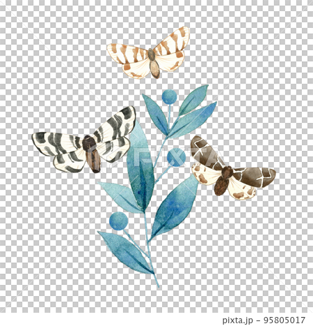 Composition of illustrated blue plant and brown butterflies. Hand drawn watercolor moths on branch with leaves. Arrabgement for packaging, label, stationery and greeting card. Flying insects. 95805017