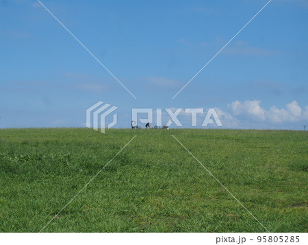 丘の上の公園(名古屋滝ノ水公園) 丘の上の公園(名古屋滝ノ水公園) 95805285