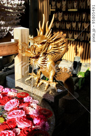 縁結びの神を祀る御社… 新潟の総鎮守【白山神社】の華手水 縁結びの神を祀る御社… 新潟の総鎮守【白山神社】の華手水 95805491