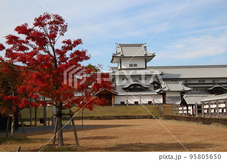 紅葉彩る金沢城公園:鶴の丸広場(石川県金沢市) 紅葉彩る金沢城公園:鶴の丸広場(石川県金沢市) 95805650