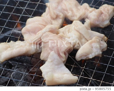 バーベキューで焼いている塩ホルモン(網に乗せた直後) 95805755