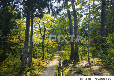 唐招提寺 日本庭園のような美しい境内(奈良県奈良市五条町) 唐招提寺 日本庭園のような美しい境内(奈良県奈良市五条町) 95806435