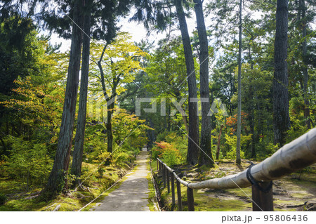 唐招提寺　日本庭園のような美しい境内（奈良県奈良市五条町） 95806436