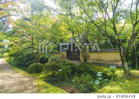 木々に囲まれた唐招提寺 応量坊 表門 95806438