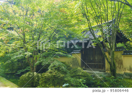 新緑に囲まれた唐招提寺 応量坊 表門 95806446