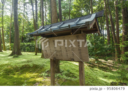 奈良市 唐招提寺 鑑真和上御廟 苔庭 95806479