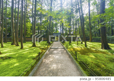 唐招提寺 鑑真和上開山御廟の門 唐招提寺 鑑真和上開山御廟の門 95806485