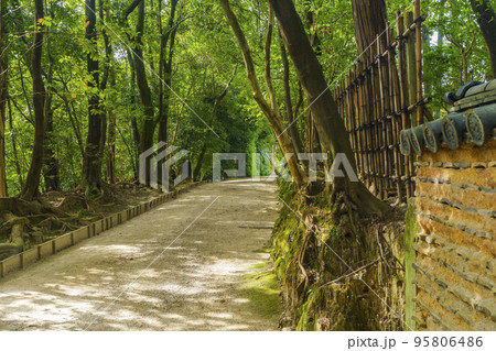 新緑に包まれた小径 唐招提寺 新緑に包まれた小径 唐招提寺 95806486