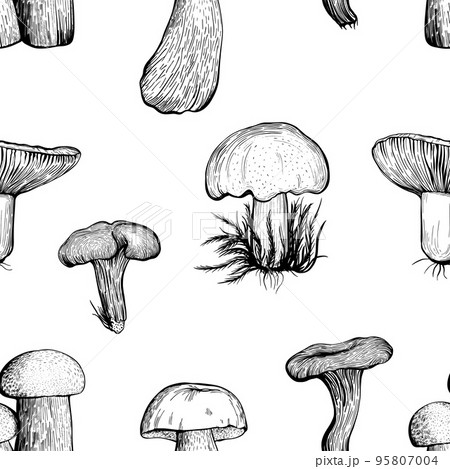 Seamless pattern with assorted mushrooms . Vector illustration 95807004