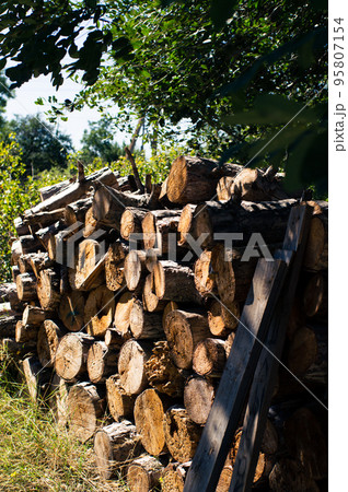 A stack of firewood, sawn wood in the backyard. Vertical photo. A stack of firewood, sawn wood in the backyard. Vertical photo. 95807154