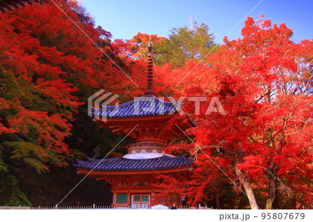 牛滝山　山中にある大威徳寺（大阪府岸和田市）の紅葉 95807679