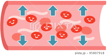 拡張する血管_表情あり 95807918