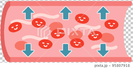 拡張する血管_表情あり 95807918