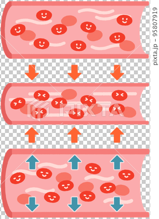 血管(正常/収縮/拡張)_表情あり 血管(正常/収縮/拡張)_表情あり 95807919