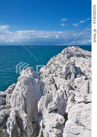 【白崎海洋公園】 和歌山県日高郡由良町大引 95808000