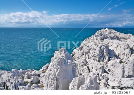 【白崎海洋公園】 和歌山県日高郡由良町大引 95808067