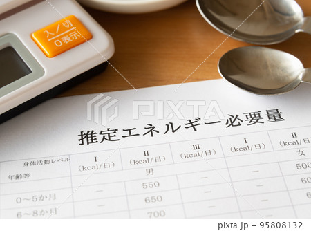推定エネルギー必要量　健康管理 95808132