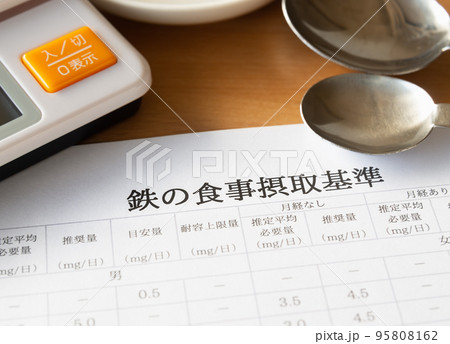 鉄の食事摂取基準　健康管理 95808162