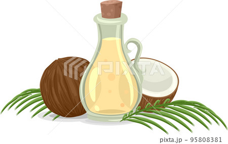 Vegan Coconut Oil Palm Leaves Illustration Vegan Coconut Oil Palm Leaves Illustration 95808381