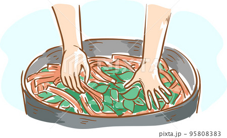 Hands Prepare Ayahuasca Illustration Hands Prepare Ayahuasca Illustration 95808383